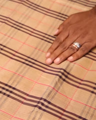 Burberry Checks Kanchipuram Saree