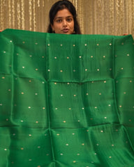 Emerald Weave Zari Suit Set