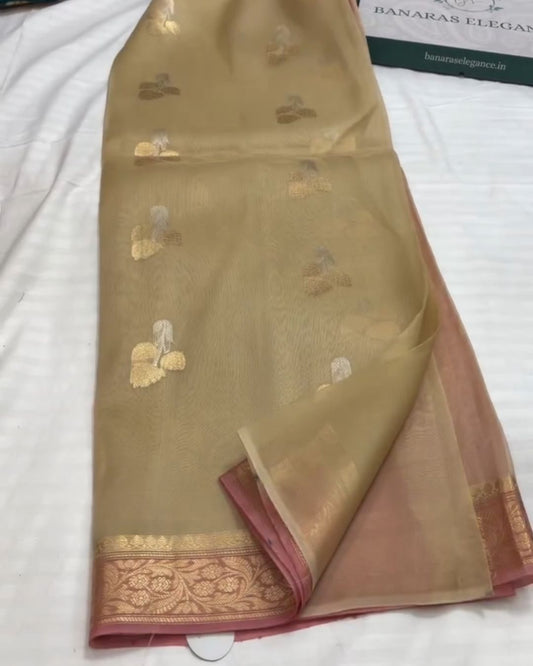 Murunal Organza Saree