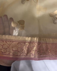 Murunal Organza Saree